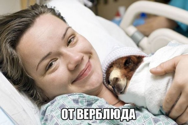 Абсурдный юмор ч.3