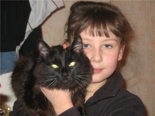 Дети и коты