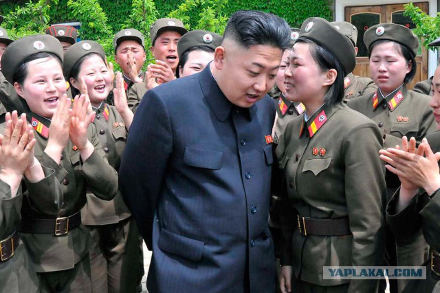 Кому нравятся северокорейские девушки?