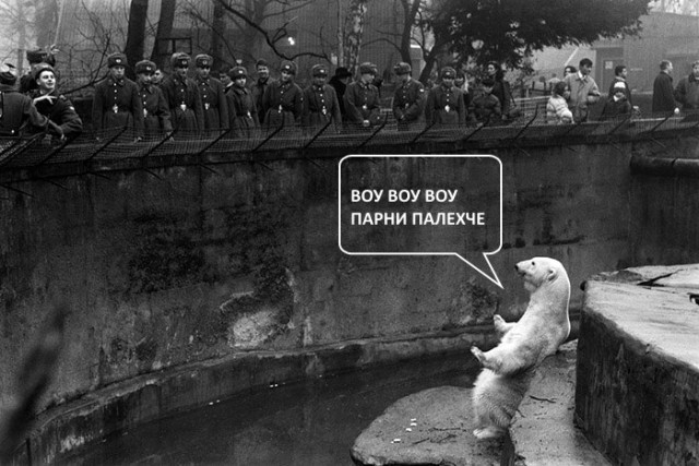 Немного фото