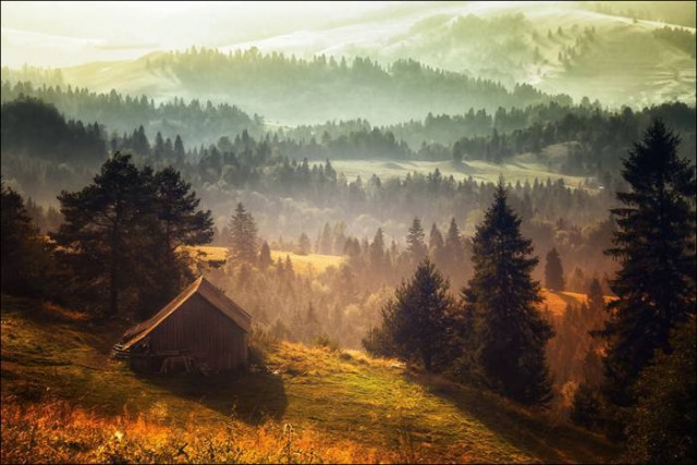 Картинки для отдыха глаз