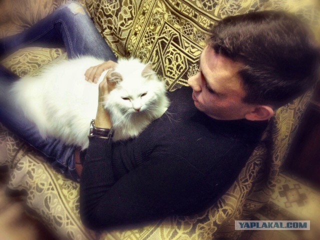 Котовтоник 29.11.2016.