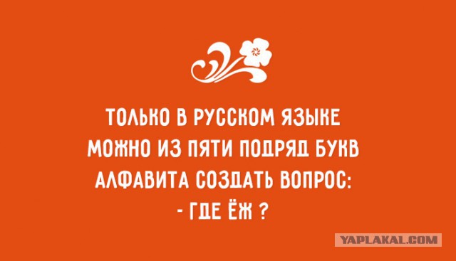 Подборка интересных и веселых картинок