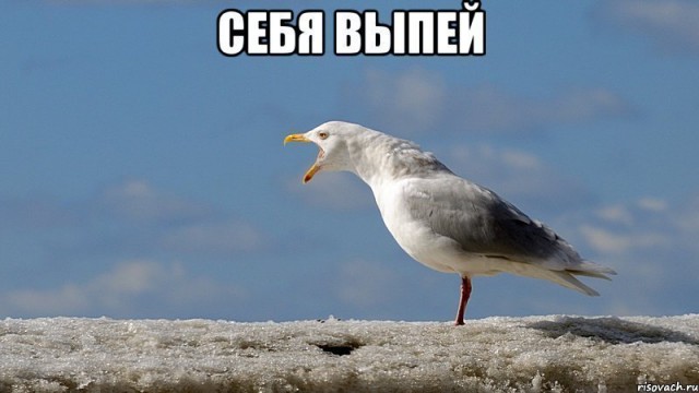 "Весёленькая" гигиена.