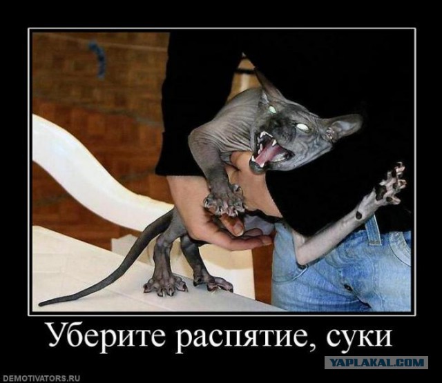 Пустили в дом ЗЛО