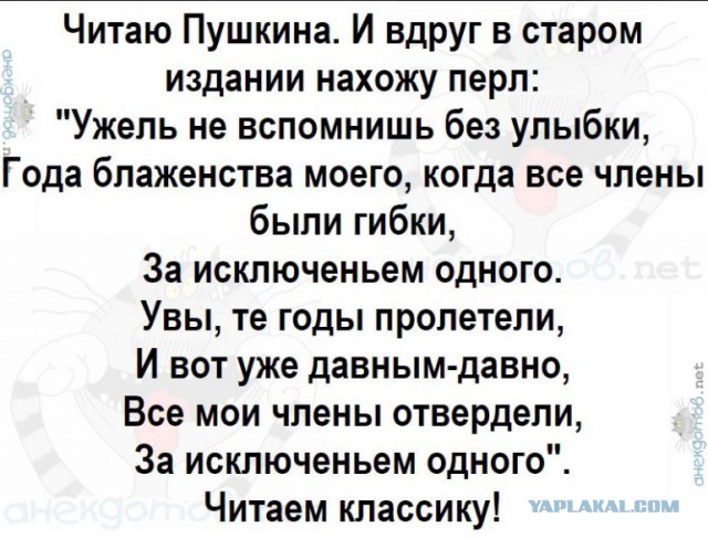 Не очень адекватный юмор