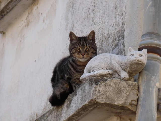 Немного милоты