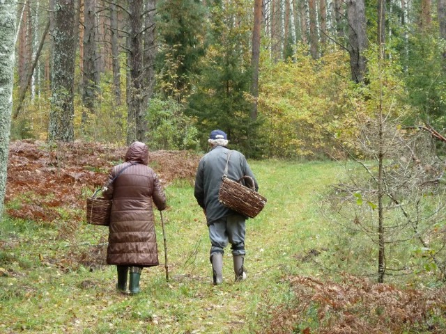 Ceйчac бы прoснуться утрoм в дepeвне у бaбушки...