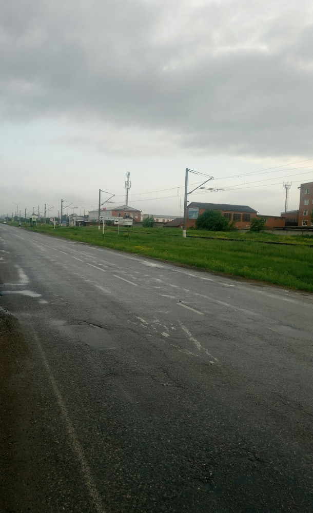 Лето, делимся видом из окна