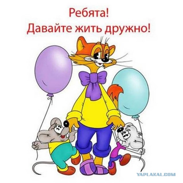 Авто-хамы оказались на скамье подсудимых