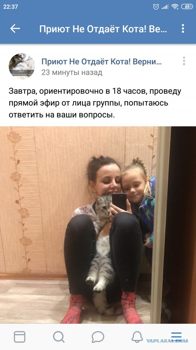 Помогите вернуть кота! Приют "Преданное сердце" украл кота и не отдает!