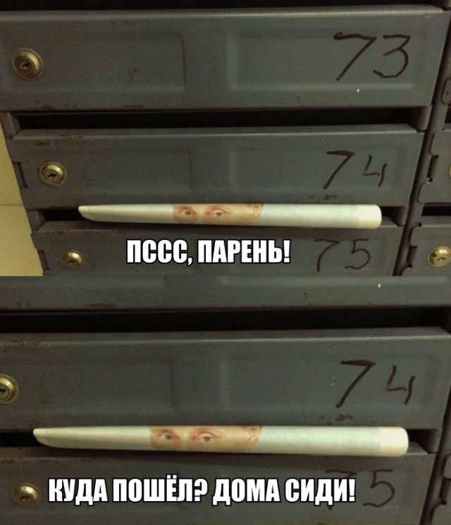 Позитивные картинки на 28.06.2020