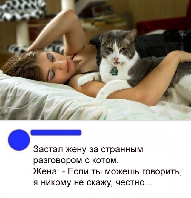 Так себе картинки 23.07.20