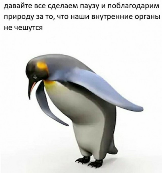 Бредзона 28.08.2020