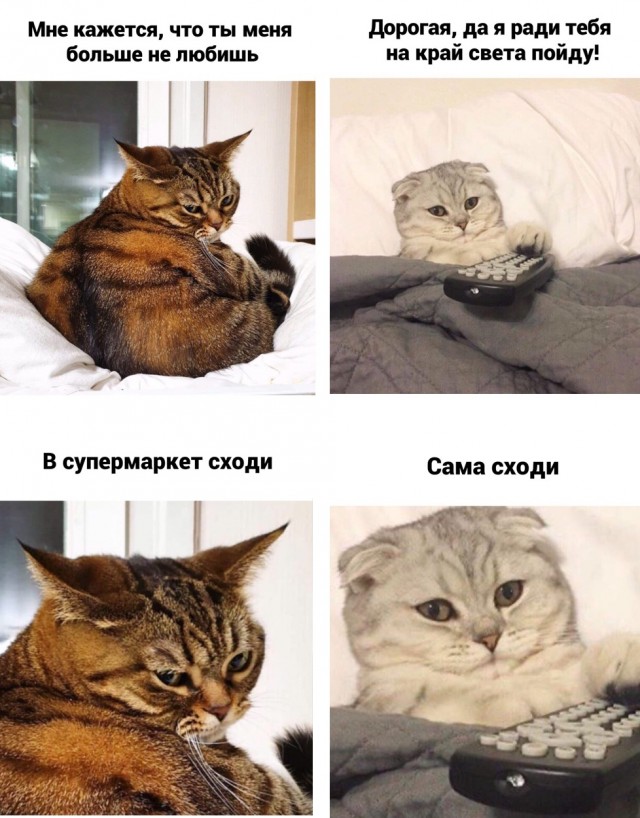 Картинки с надписями и всякие жизненные фразы 6.01.2021