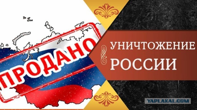 На электронном предварительном голосовании «Единой России" побит рекорд