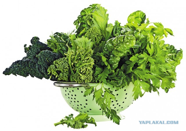 Каналья и борьба