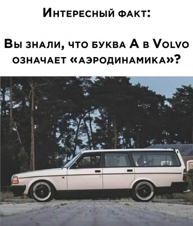Весёлый полтишок 20.03.22