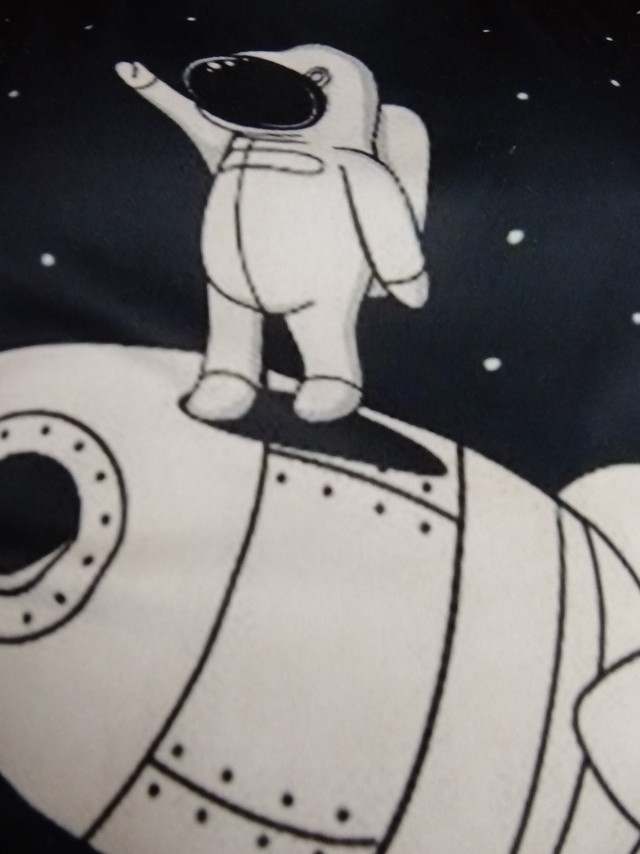 4 туриста и SpacеХ