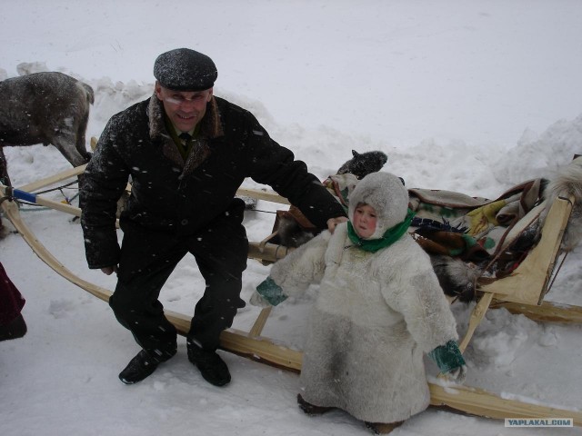 встреча на дороге