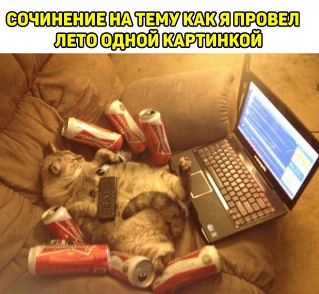 Картинки и мемы, всем хороших выходных