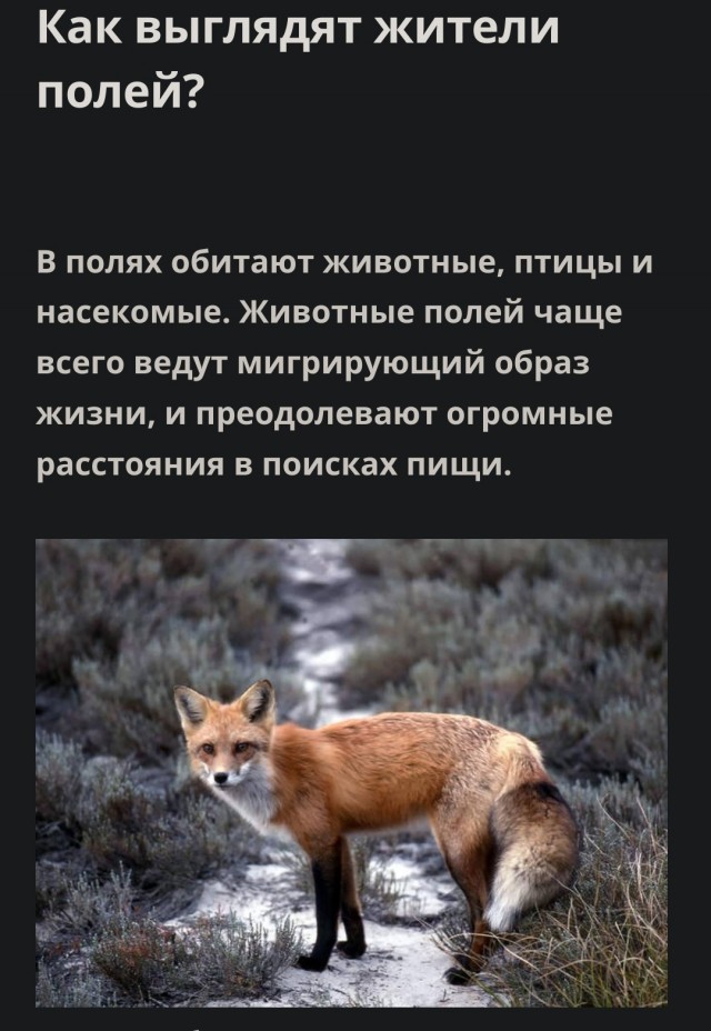 Феминистки