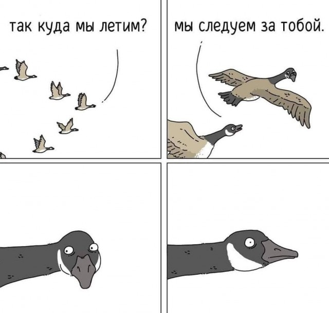 Картинок разной степени @банутости псто N°3
