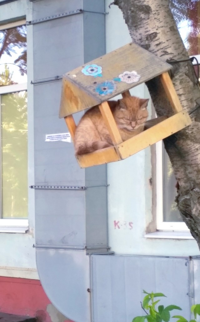 Красотка