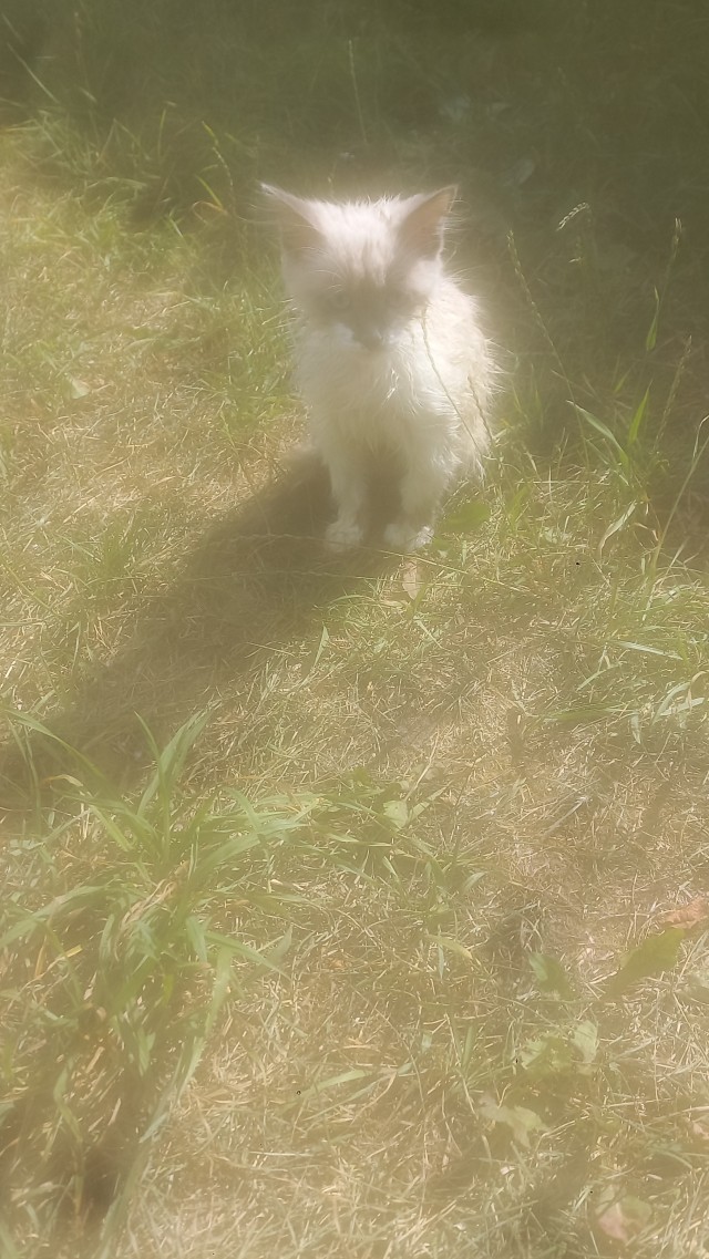 Споймал сегодня на рыбалке