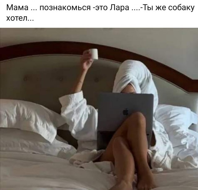 Картинки от Scodero 7