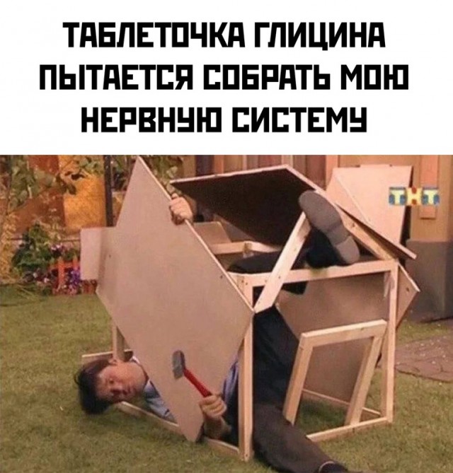 Весёлый полтишок 15.10.23