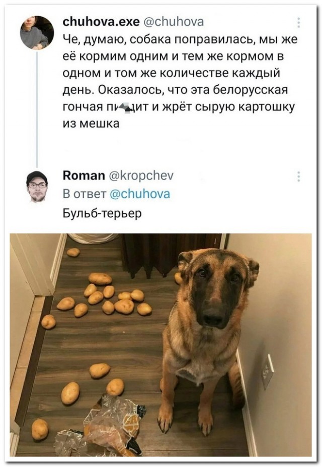 Забавные комментарии из социальных сетей (05.02.24)