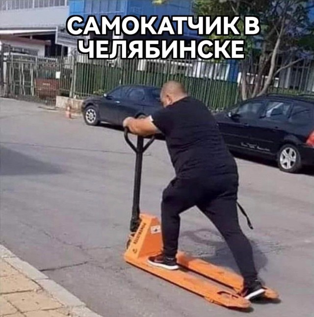 Весёлый полтишок 20.05.24