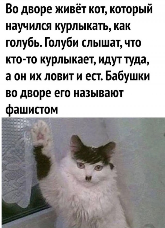 Завалялось тут случайно немного забавных картинок