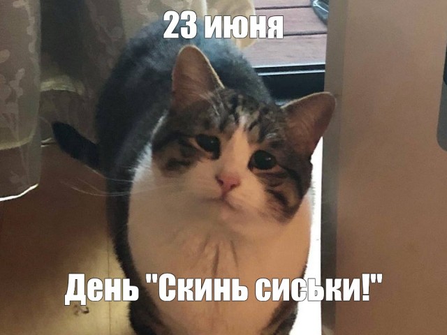 Одно фото хорошего настроения