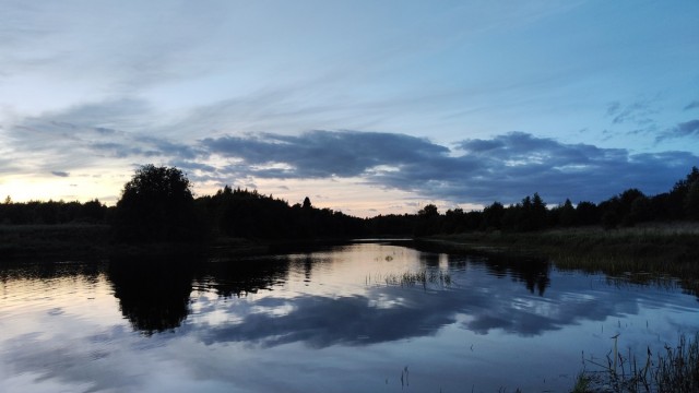 Тени подземелья: история одного блиндажа