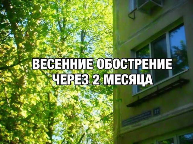 Всего понемногу. От 20.01.2025