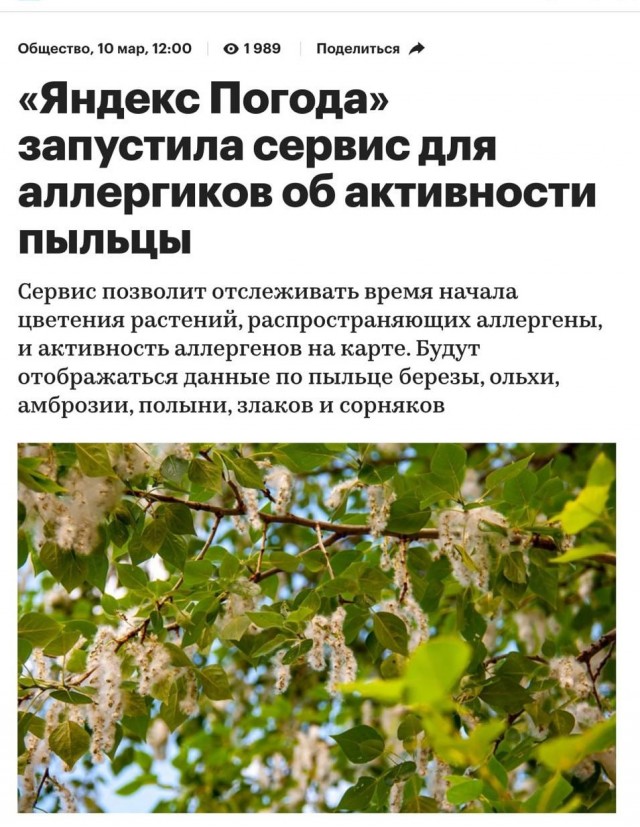Москвичи с аллергией теперь могут проверять через Яндекс Погоду, где в городе меньше пыльцы.