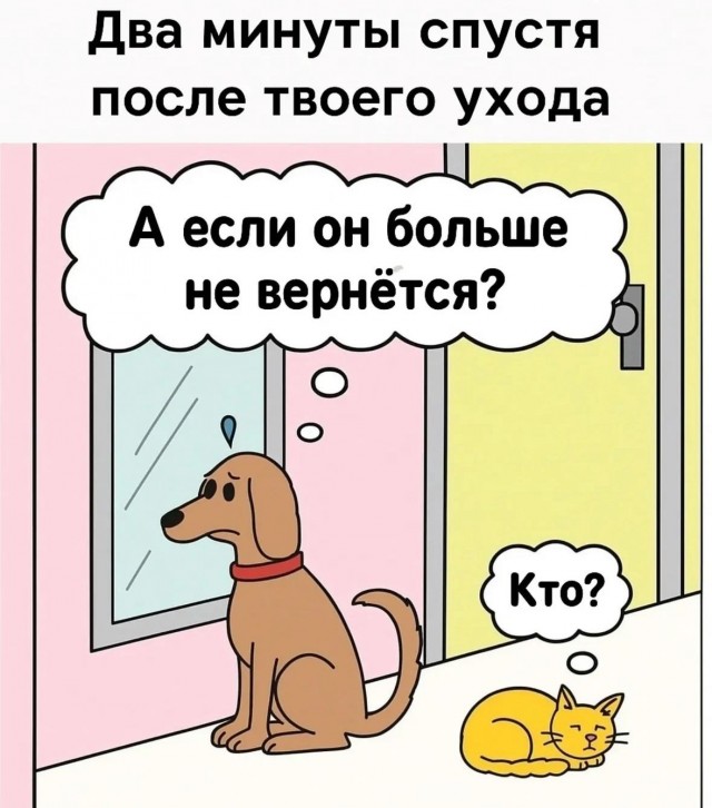 Так себе картинки 06.05.25