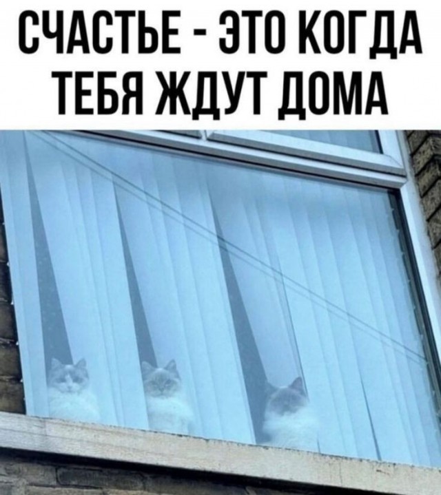 Так себе картинки 28.05.25