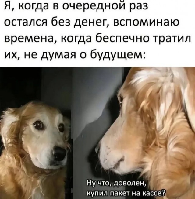 25 грустных, но жизненных мемов про зарплату