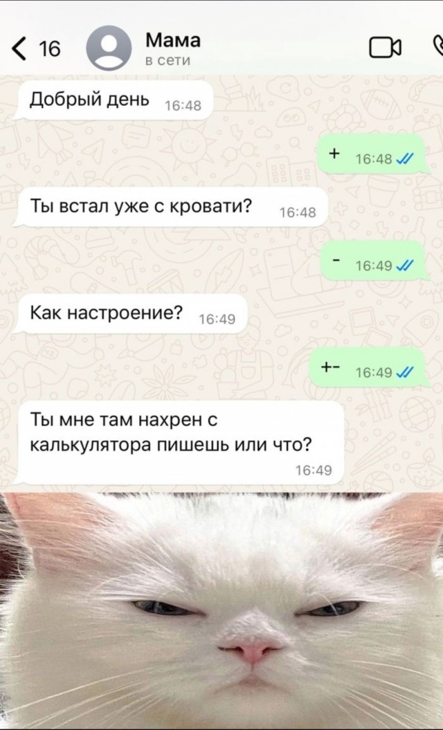 Веселое настроение в картинках (13.07.2025)