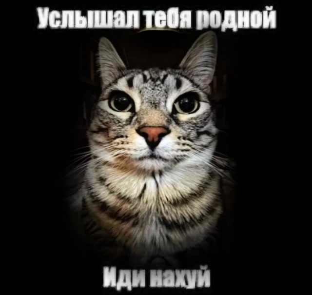 Воскресенье, а значит