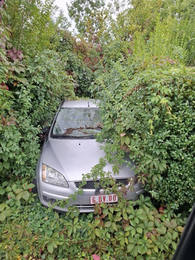 Рождение авто, где то  в местах без утилизационного сбора.