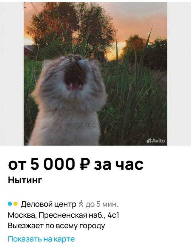 Нытинг