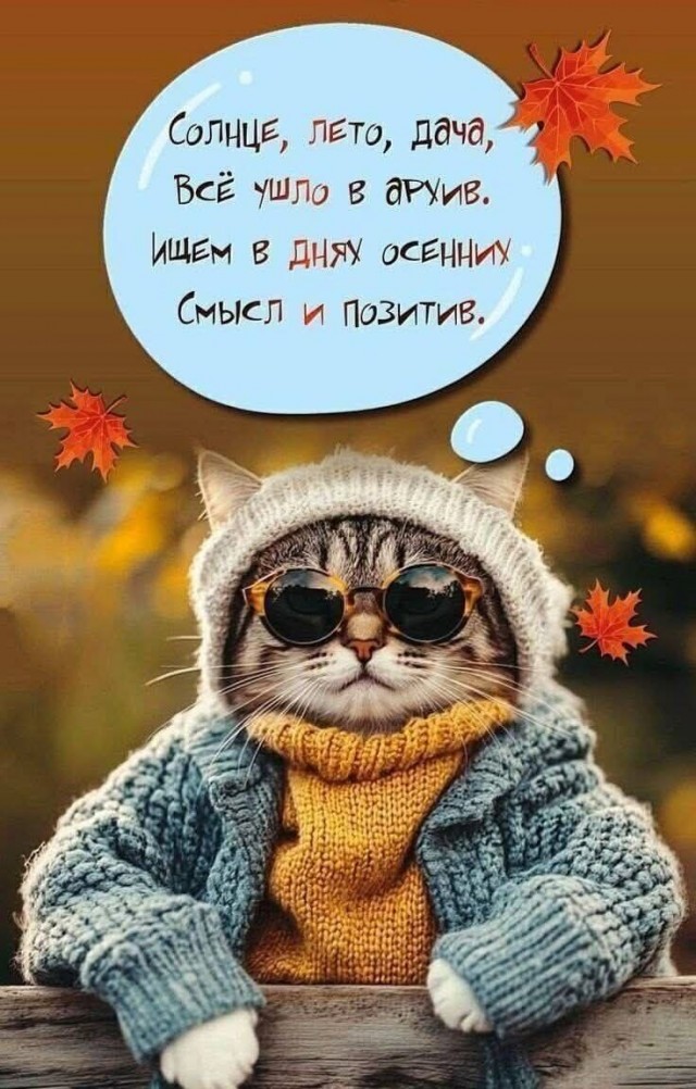 Прикольные и просто красивые картинки 17.10.2025