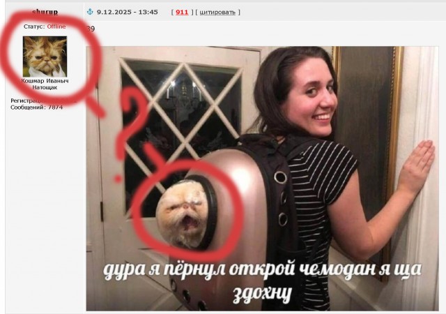 Картинки для деградации 102 (разной степени свежести)