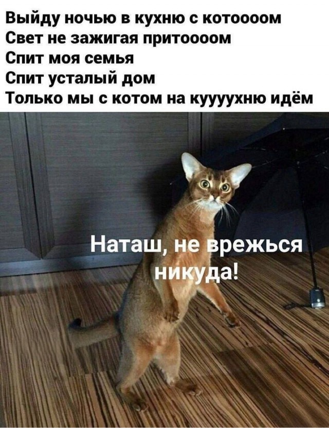 Среды картинки
