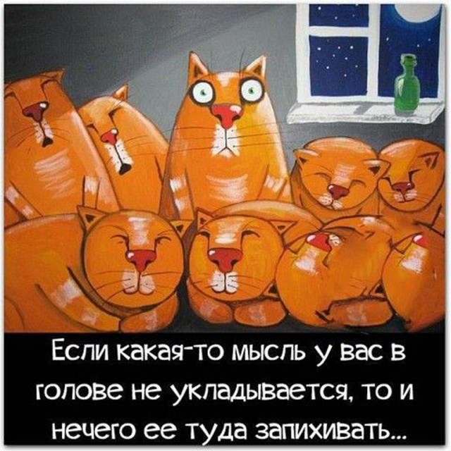 Прикольные и просто красивые картинки 30.12.2025