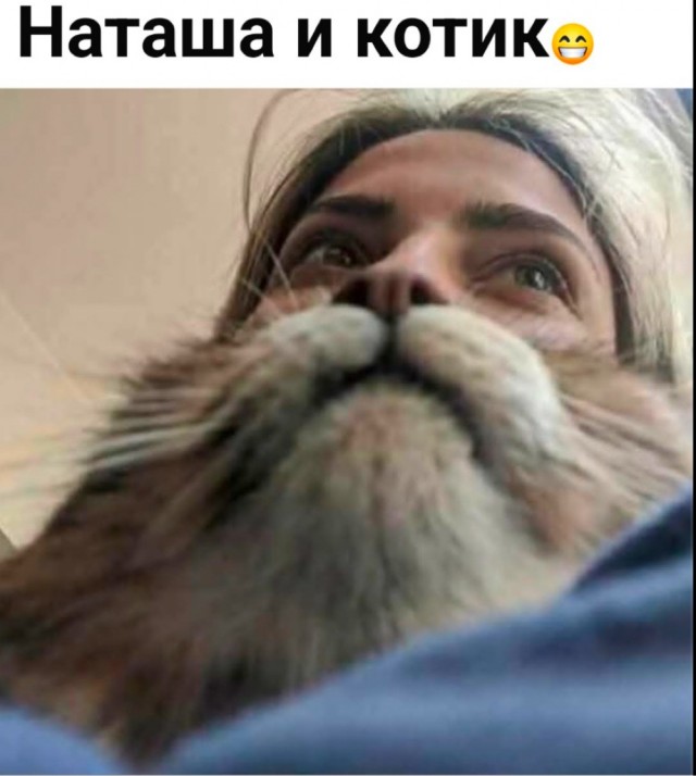 Котовторник или как